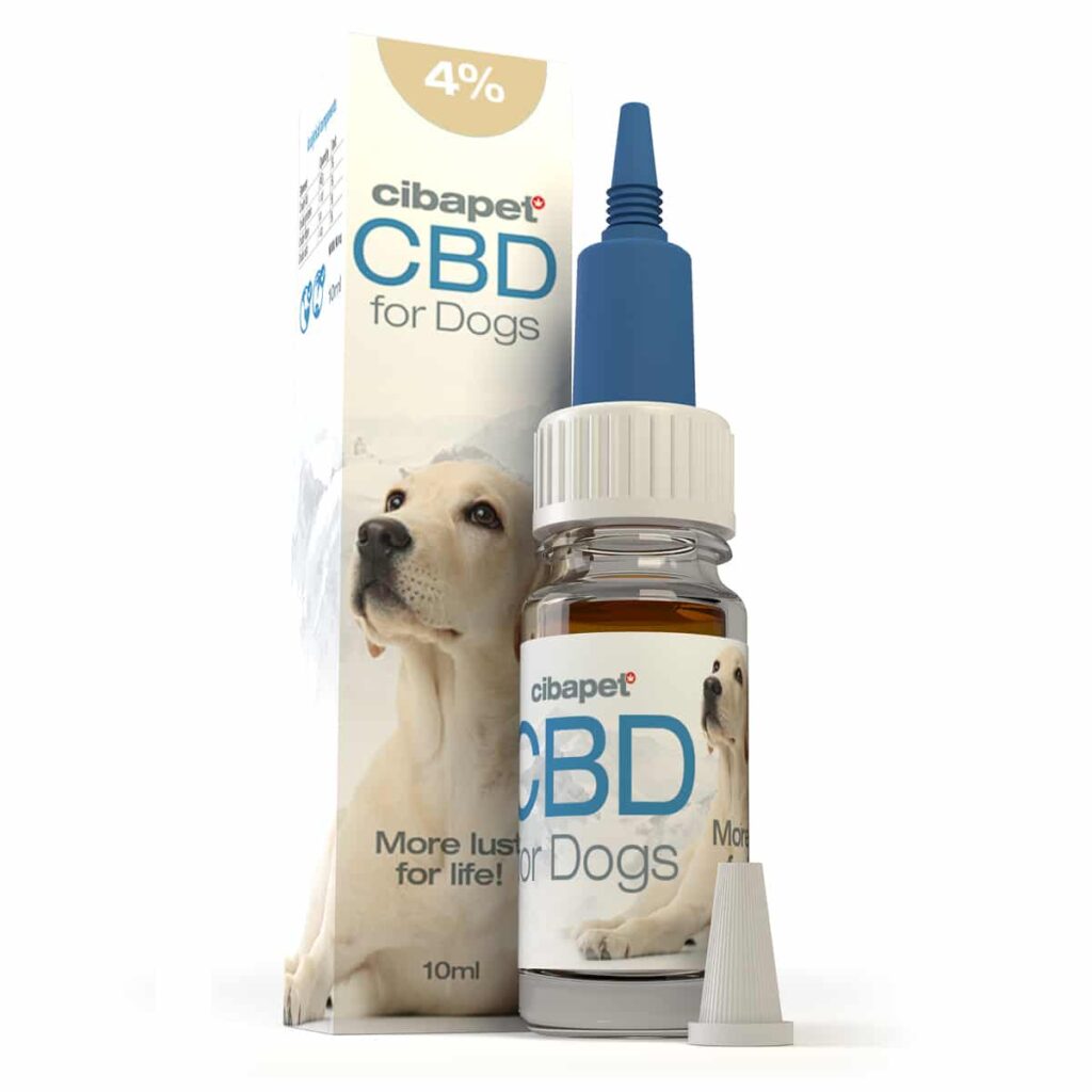 A Cibapet CBD oil 4% for dogs (10ml) bottle next to a box.