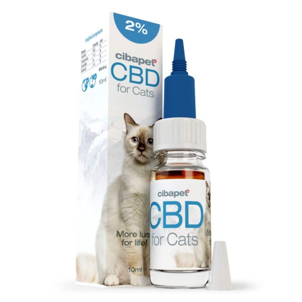 a cat sitting next to a bottle of cbd.